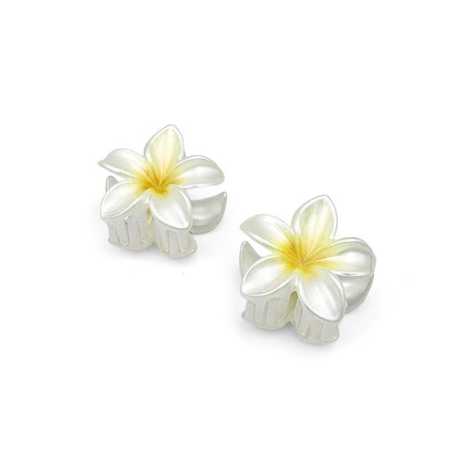 Set of 2 Mini Ombre Flower Hair Claws