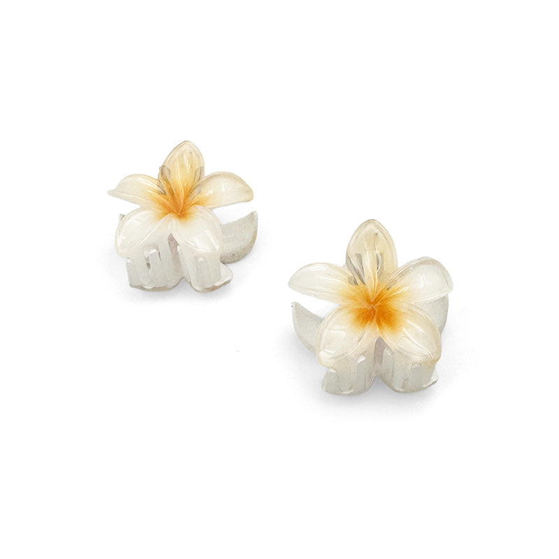 Set of 2 Mini Shiny Flower Hair Claws