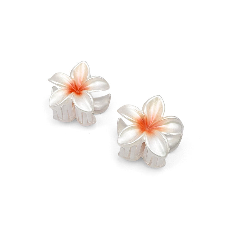 Set of 2 Mini Ombre Flower Hair Claws