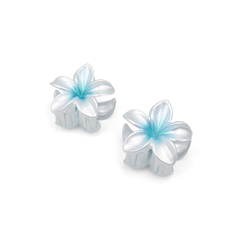 Set of 2 Mini Ombre Flower Hair Claws