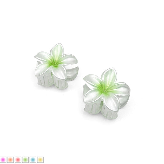 Set of 2 Mini Ombre Flower Hair Claws