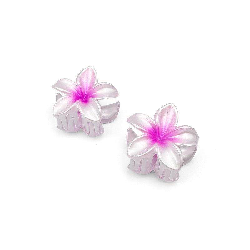 Set of 2 Mini Ombre Flower Hair Claws