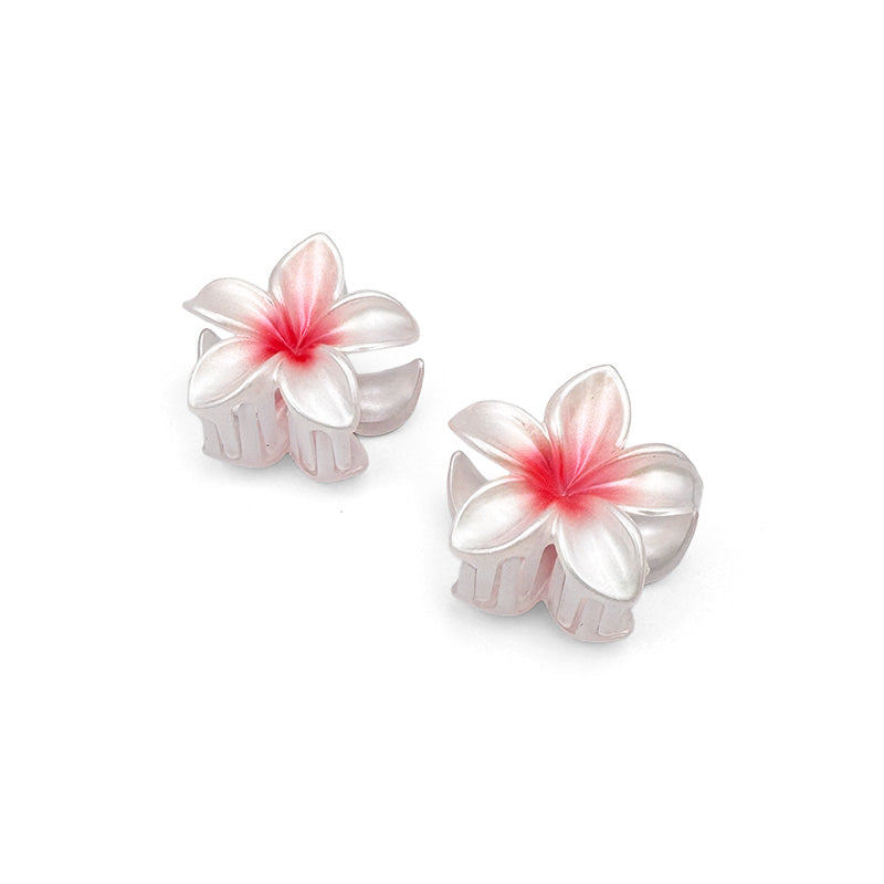 Set of 2 Mini Ombre Flower Hair Claws