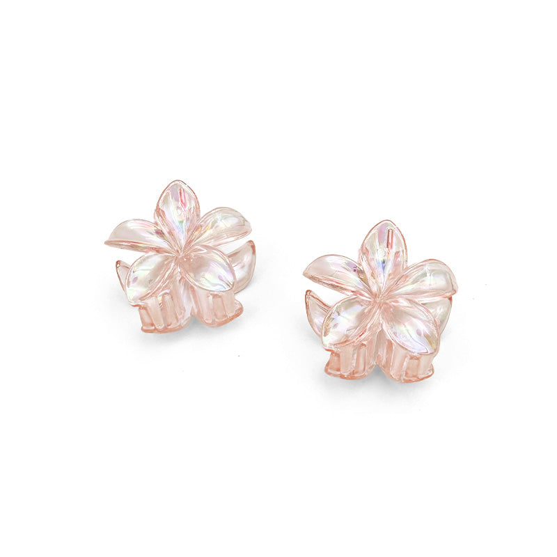 Set of 2 Mini Flower Hair Claws – Transparent Finish
