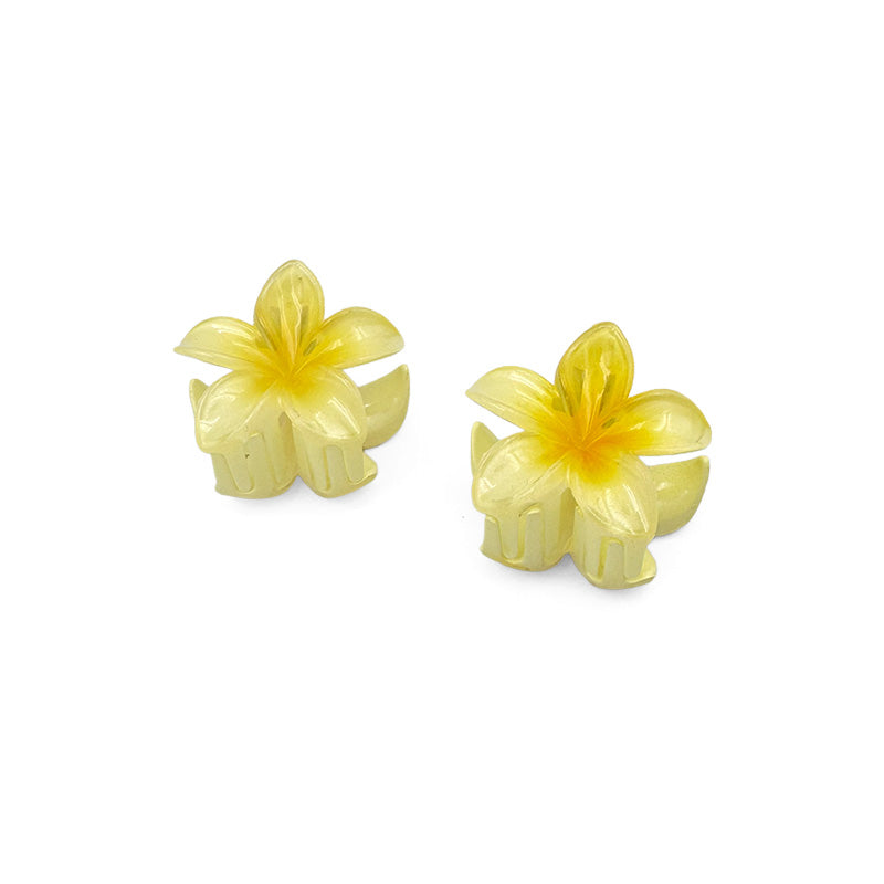 Set of 2 Mini Shiny Flower Hair Claws