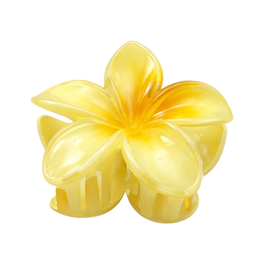 Colorful Flower Hair Claw