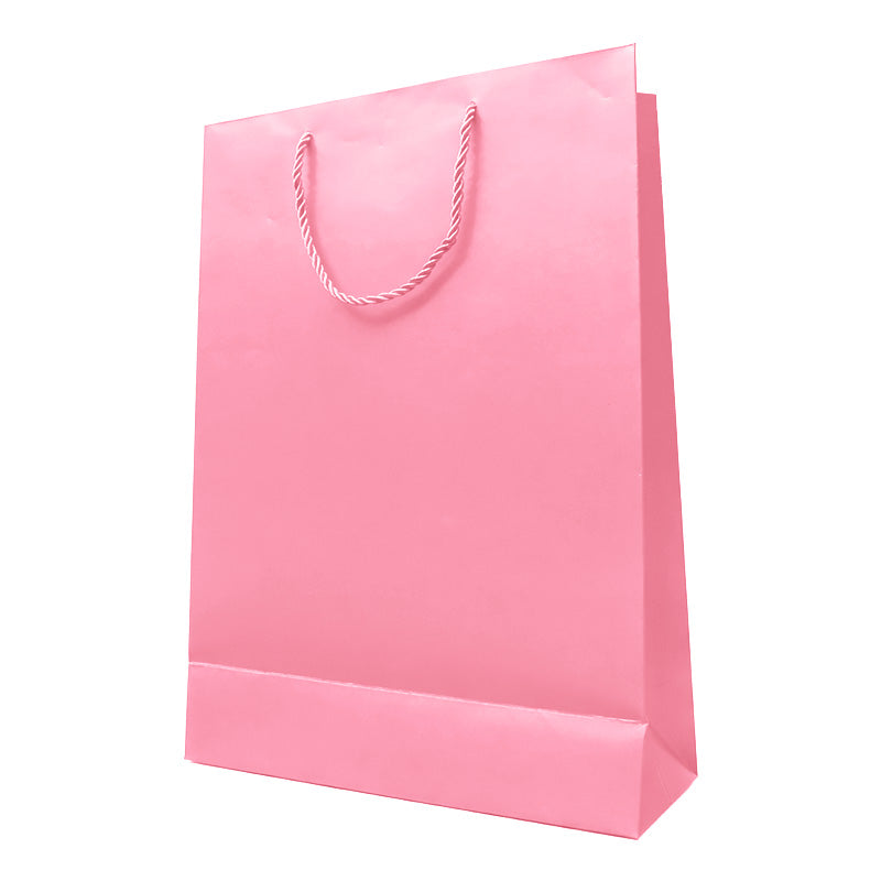 Matte Gift Bag – Large Size