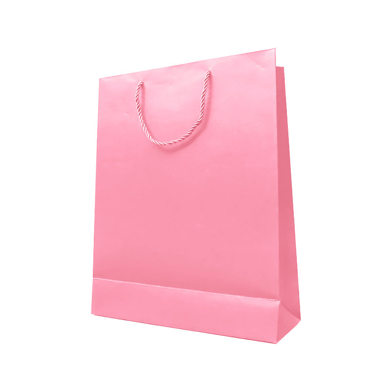 Matte Gift Bag – Medium Size