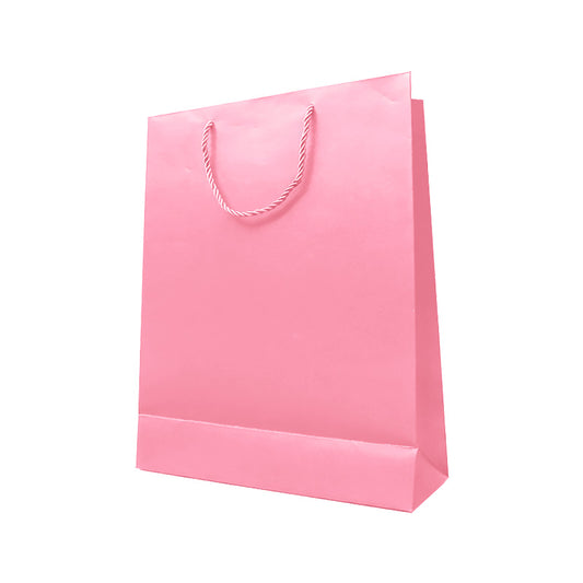 Matte Gift Bag – Medium Size